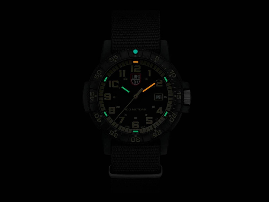 Reloj Sea Turtle Giant para hombre A0333