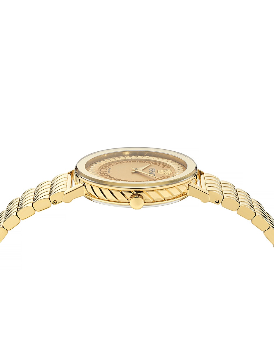 Reloj Delphinus para mujer VE0O00525 3