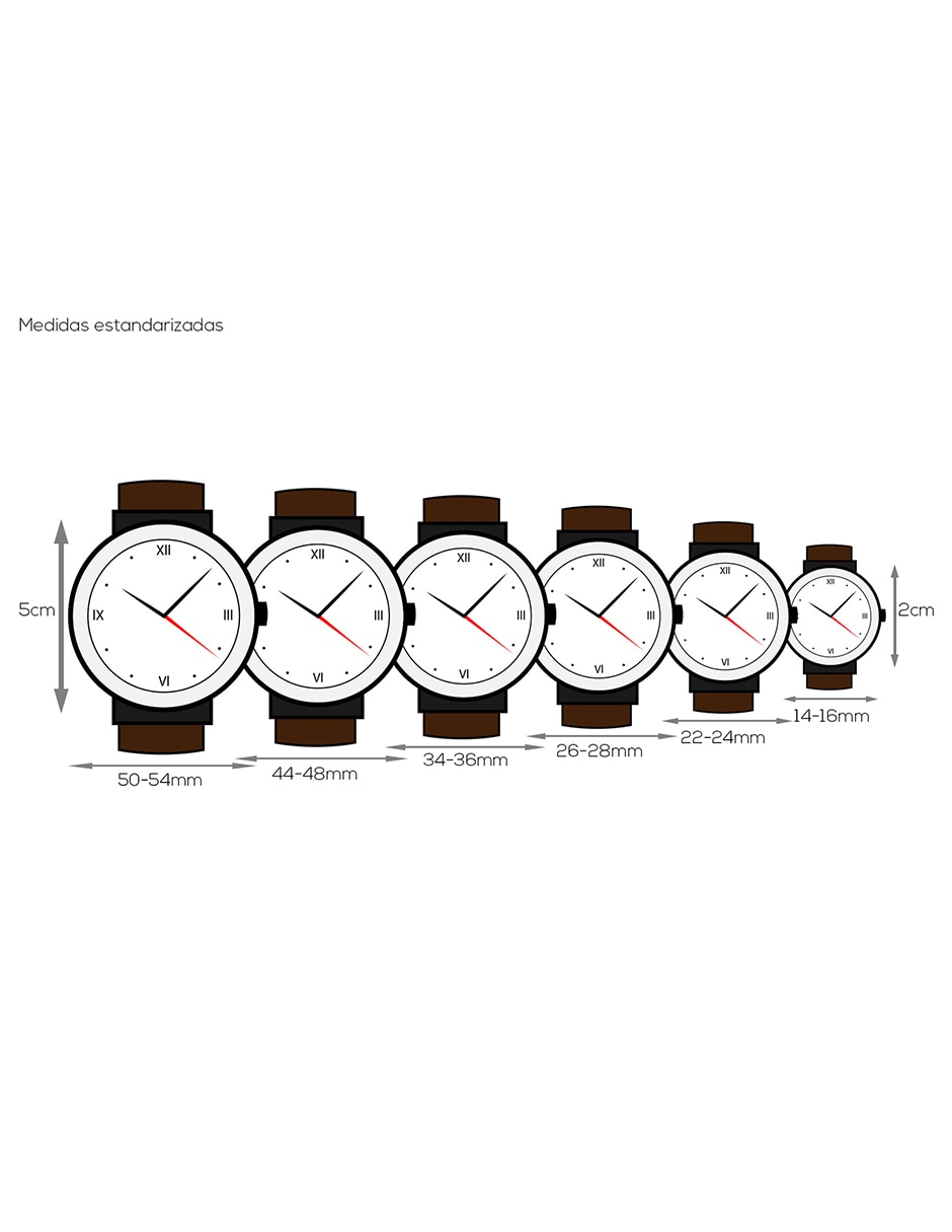 Reloj DOUBLE GANCINI para mujer SFJI00226 5